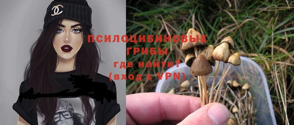 тгк Алексин