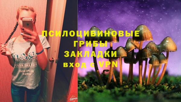 дмт Алзамай