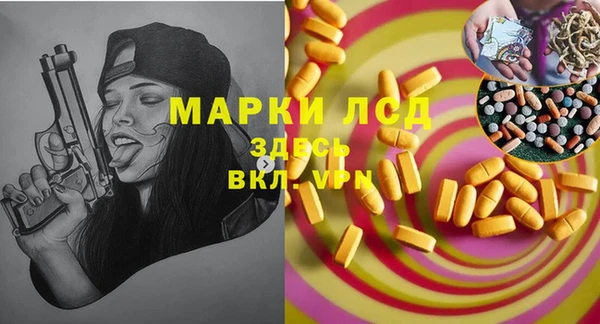 дмт Алзамай