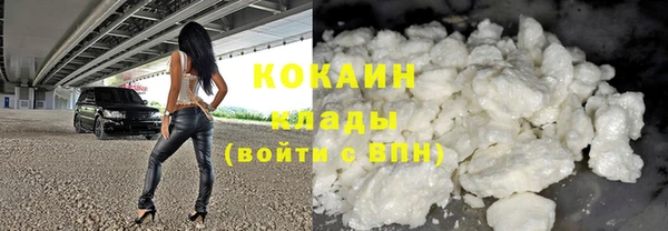 тгк Алексин