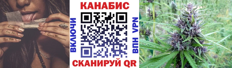 Канабис план  сколько стоит  Камызяк 